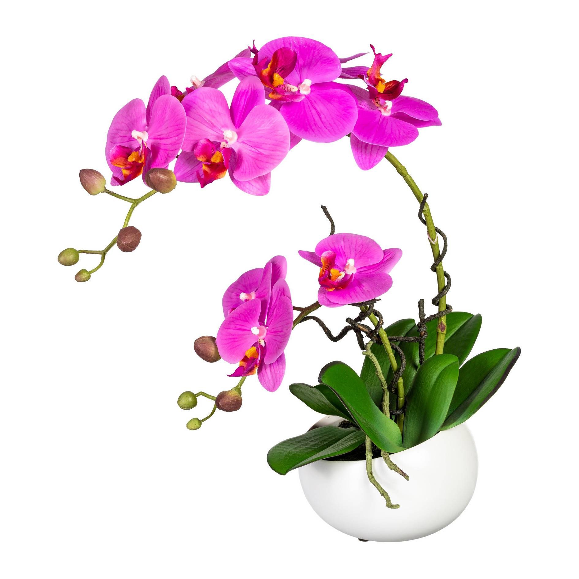 Kunstblume Orchidee, Gasper, Höhe 42 cm, im Topf, Lila, Orchidee, H: 42cm