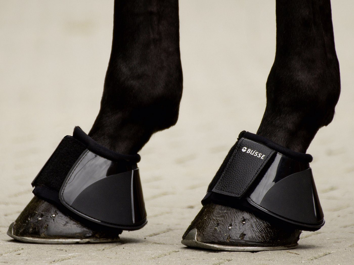 BUSSE Hufglocken Busse Hufglocken PRO