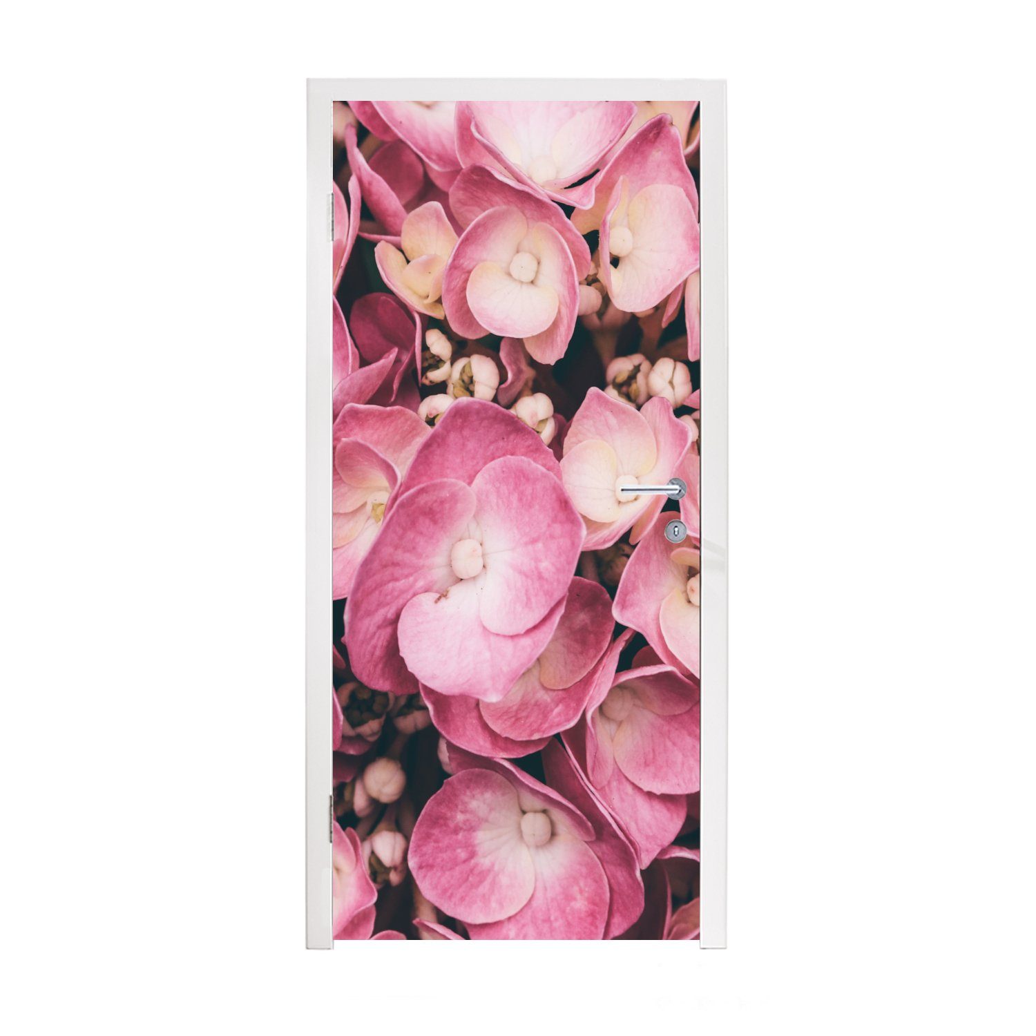 MuchoWow Türtapete Nahaufnahme rosa Hortensien, Matt, bedruckt, (1 St), Fototapete für Tür, Türaufkleber, 75x205 cm