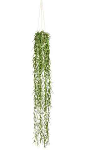 Kunstranke Tillandsia aeranthos im Hängetopf Sukkulente, Creativ green, Höhe 120 cm, im Hängetopf aus Kunststoff