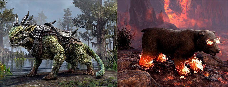 The Elder Scrolls Online Collection: Blackwood PlayStation 4