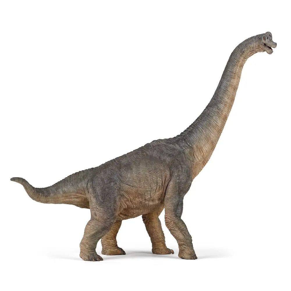 papo Actionfigur Papo 55030 Brachiosaurus