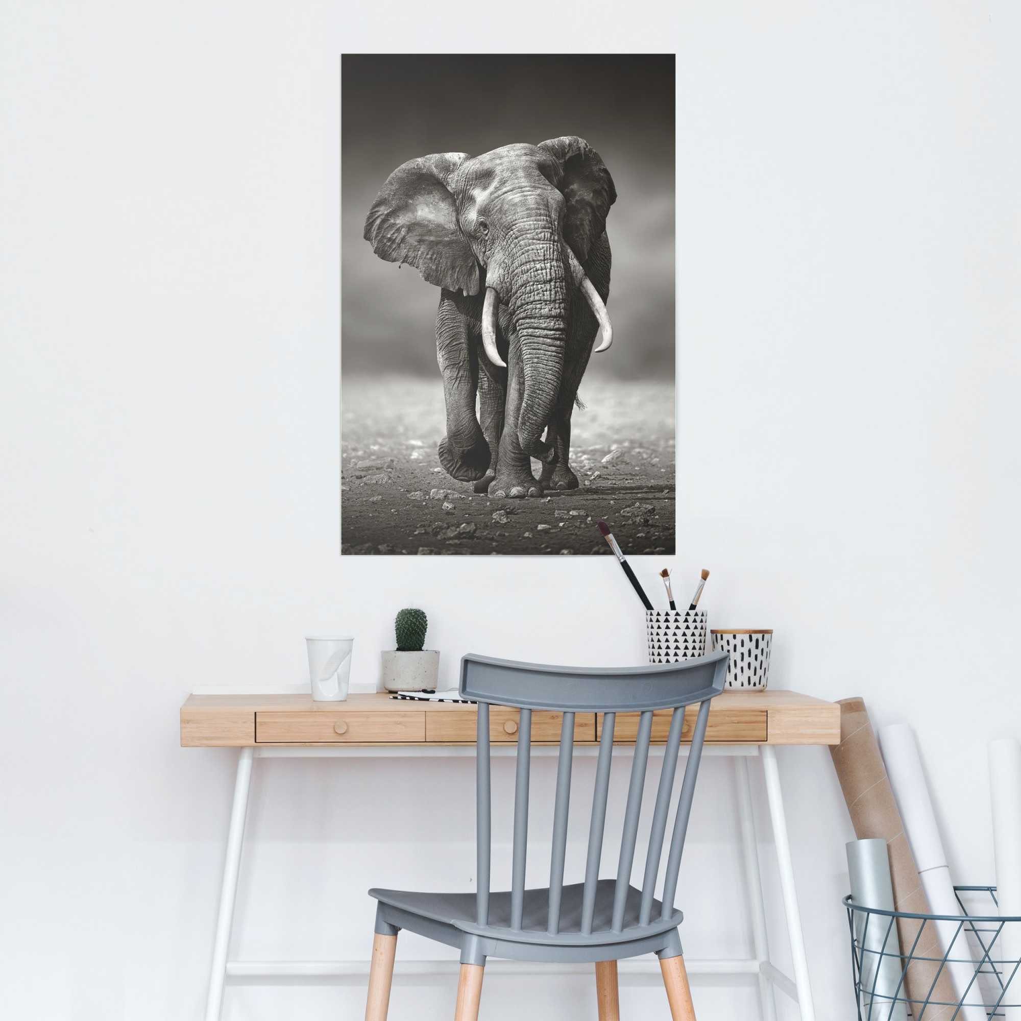Wanderung, Elefant Poster (1 Elefanten St) Poster Reinders!