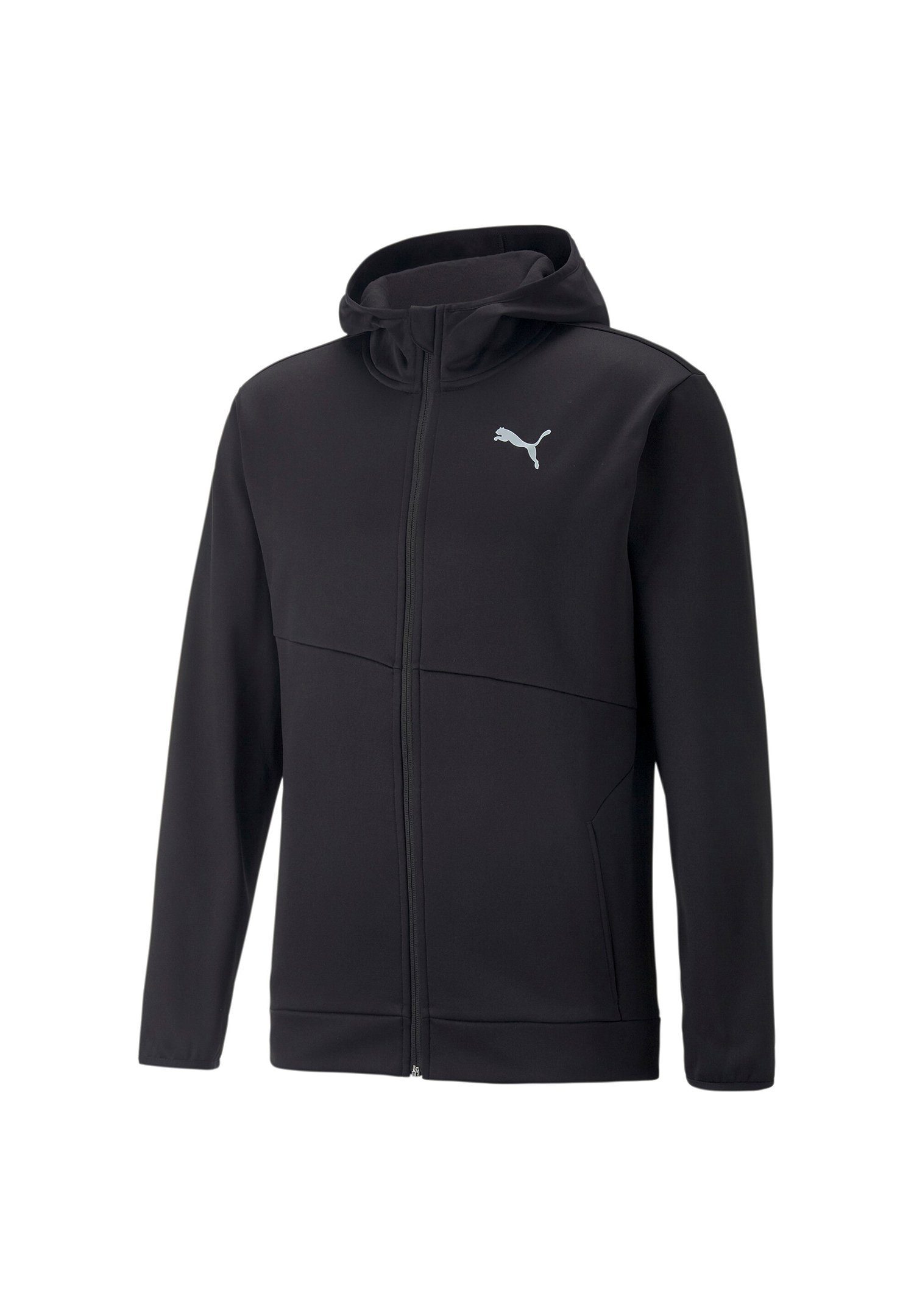 PUMA Hoodie Train All Day PWRFleece günstig online kaufen