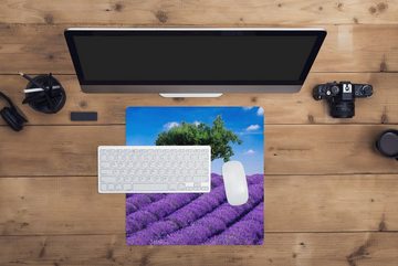 MuchoWow Gaming Mauspad Eine Nahaufnahme eines Lavendelfeldes (1-St), Mousepad mit Rutschfester Unterseite, Gaming, 40x40 cm, XXL, Großes