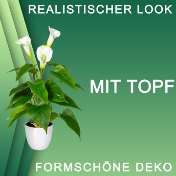 Kunstpflanze Kunstpflanze Calla weiß mit Topf ca. 44cm künstliche Pflanze Deko, TronicXL, Höhe 44 cm, im Topf