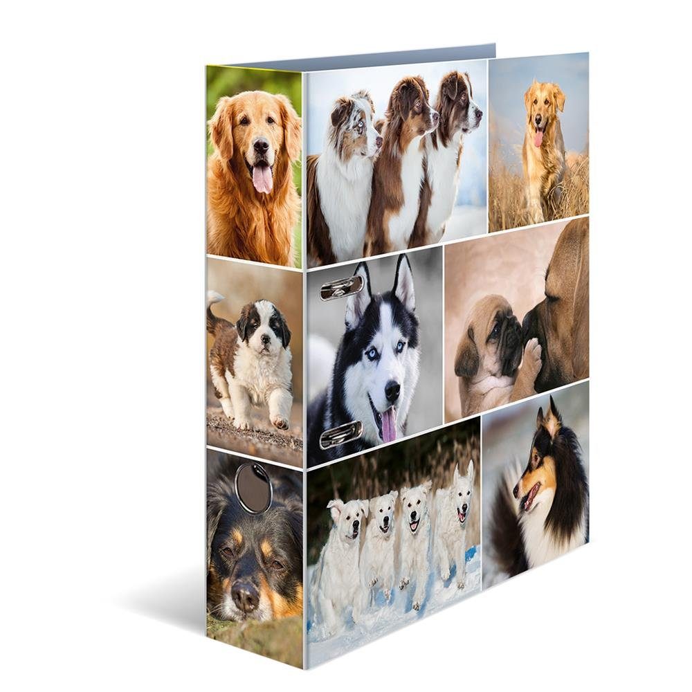 HERMA Aktenordner mit Motiv DIN A4 Animals Hunde
