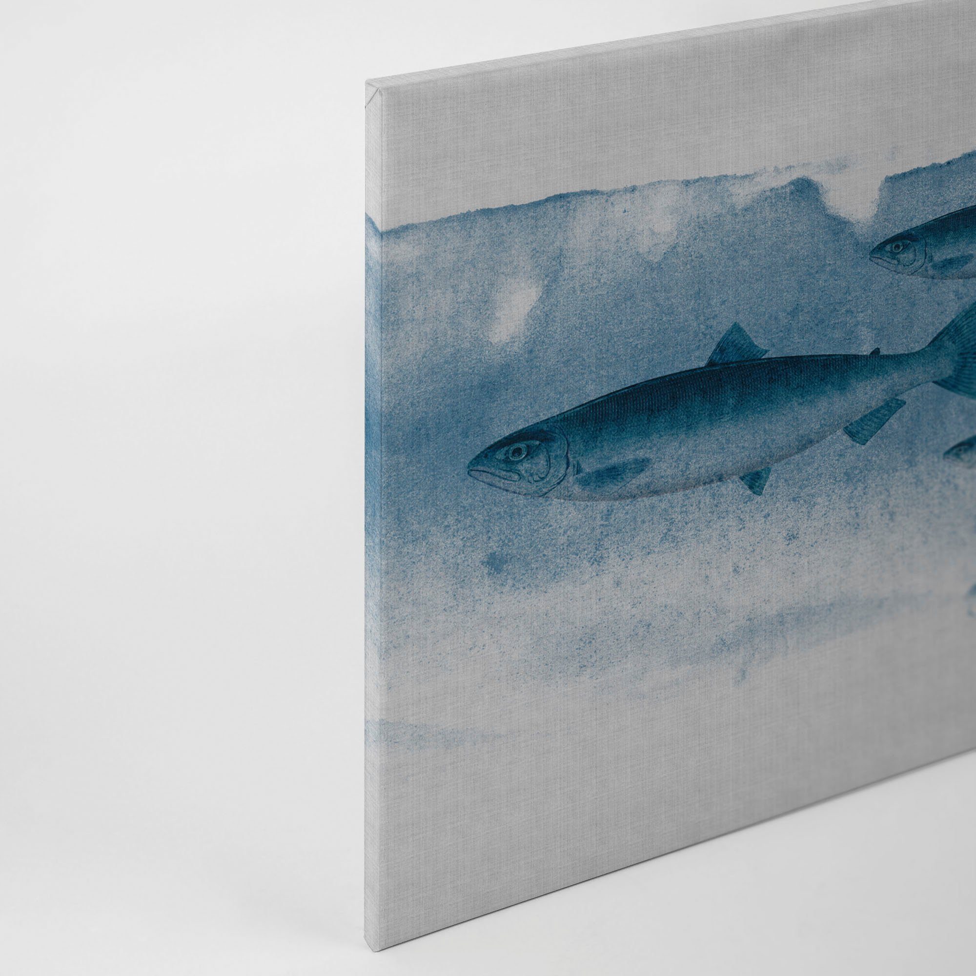 Keilrahmen blue, blau, A.S. Fische grau Unterwasser the Bild into St), Création Tiere Leinwandbild Welt (1