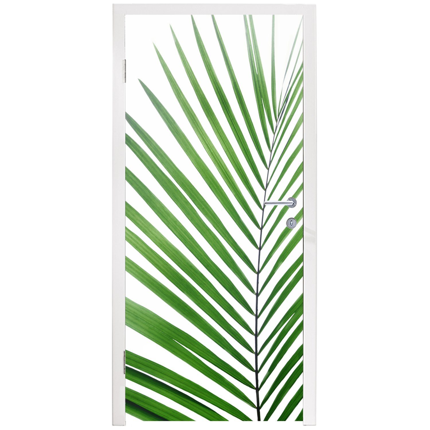 - St), Tür, 75x205 Pflanze Türtapete Türaufkleber, bedruckt, Weiß, Natur für Fototapete cm - MuchoWow - Matt, (1 Grün