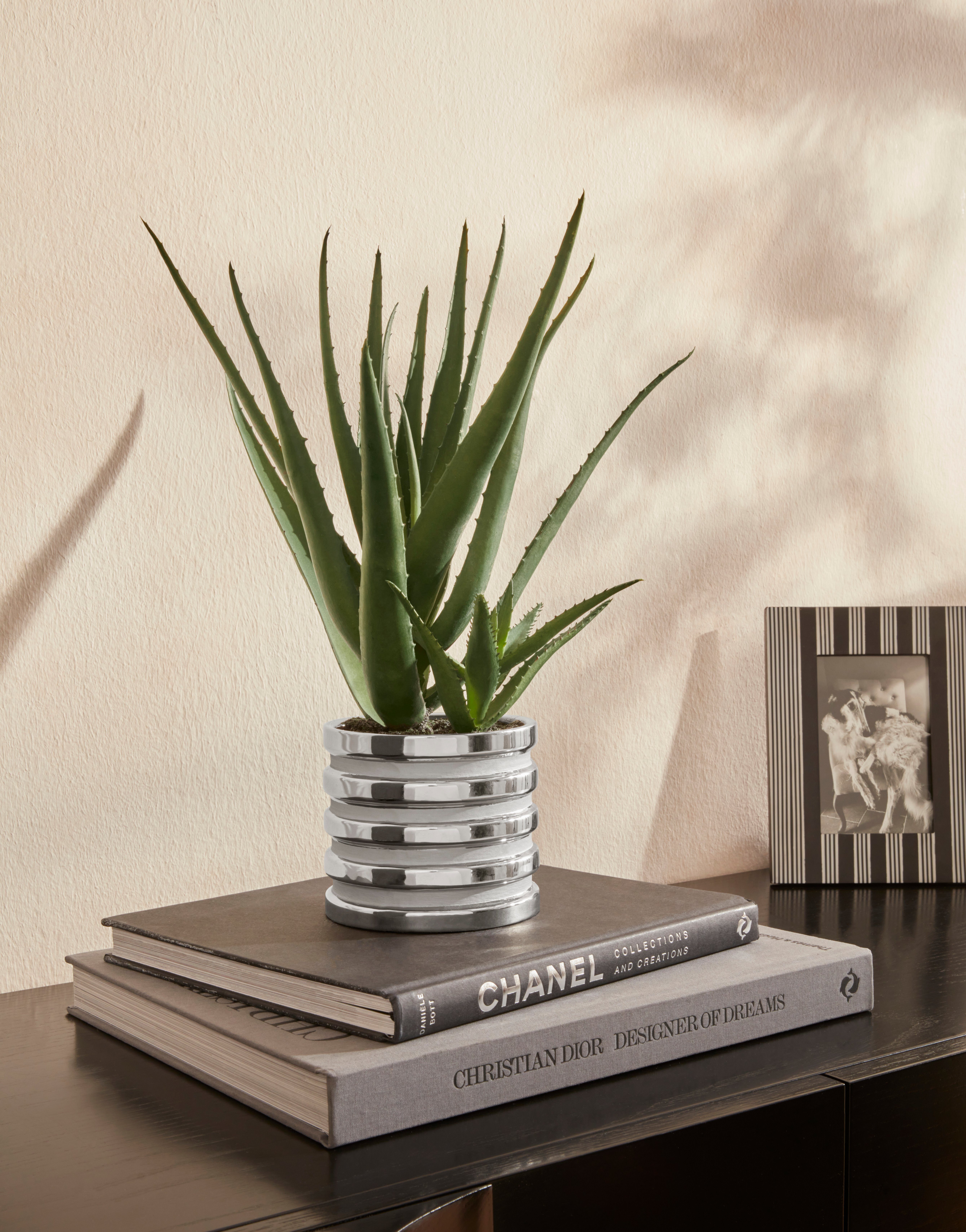 Home&Living, Topf Kunstpflanze Maria cm, Kretschmer Höhe 40 im Aloe, Sukkulente, Guido Auvergno