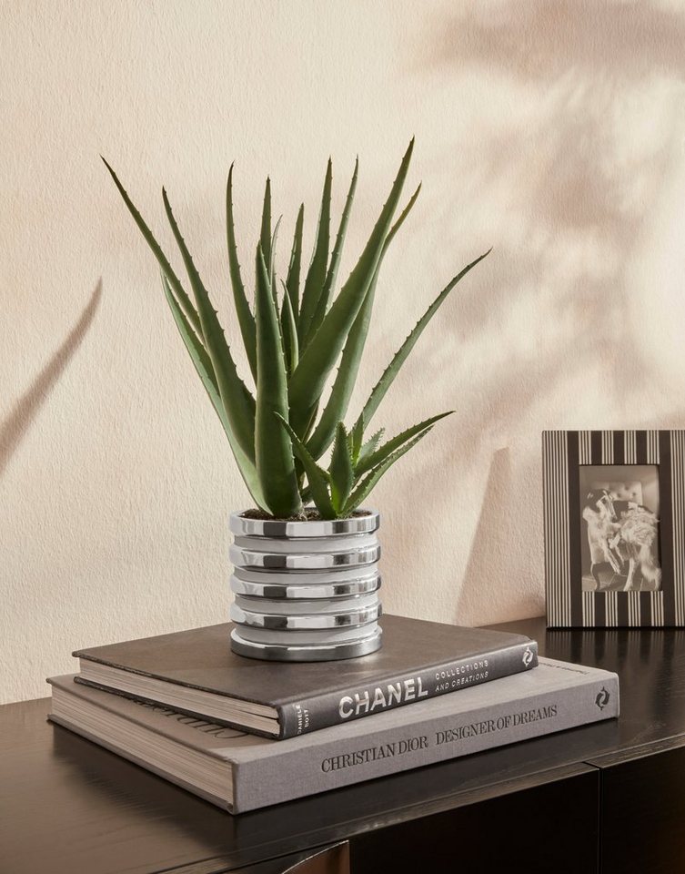 Kunstpflanze Auvergno Aloe, Guido Maria Kretschmer Home&Living, Höhe 40 cm,  Sukkulente, im Topf | Kunstpflanzen