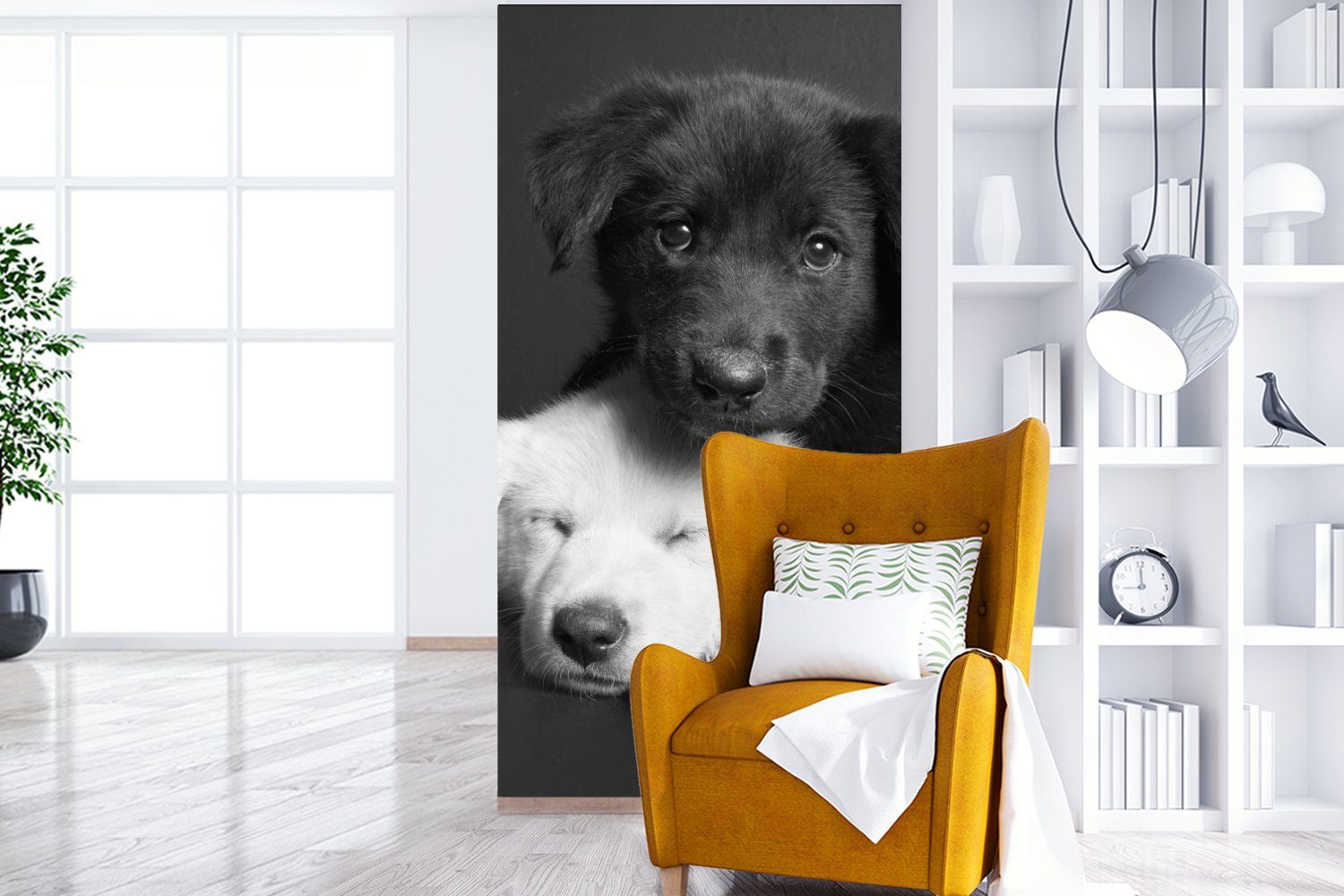 Schwarz Vliestapete Weiß - St), - Schlafzimmer (2 Hunde - für Fototapete Wohnzimmer Matt, Fototapete Welpe Tiere, Küche, bedruckt, MuchoWow -