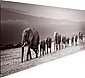 Reinders! Holzbild »Deco Panel 52x156 Line of Elephants«, Bild 3