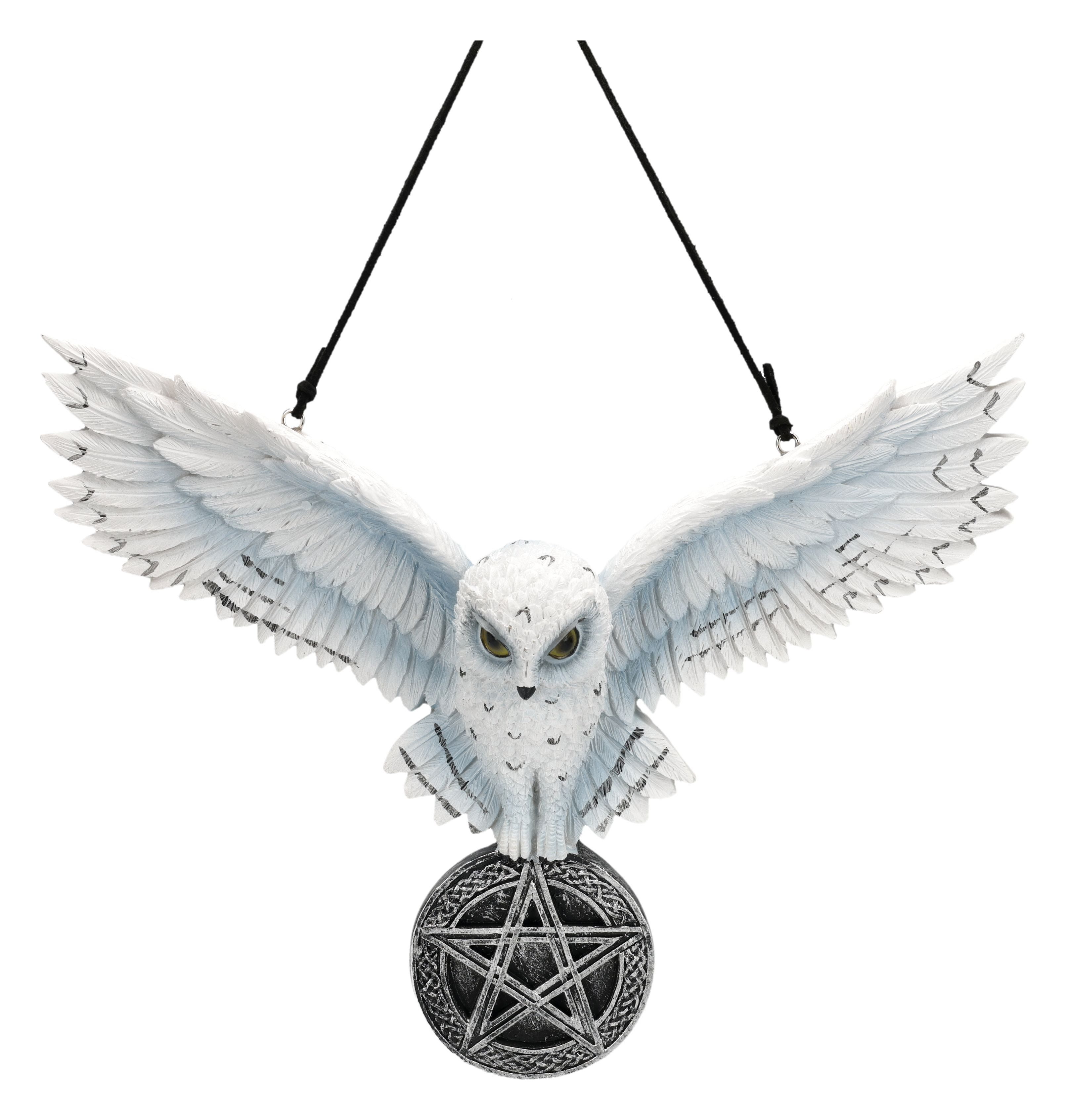 Figuren Shop GmbH Wanddekoobjekt Schneeeule Wanddeko – Magische Eulen Statue mit Pentagramm 19 cm