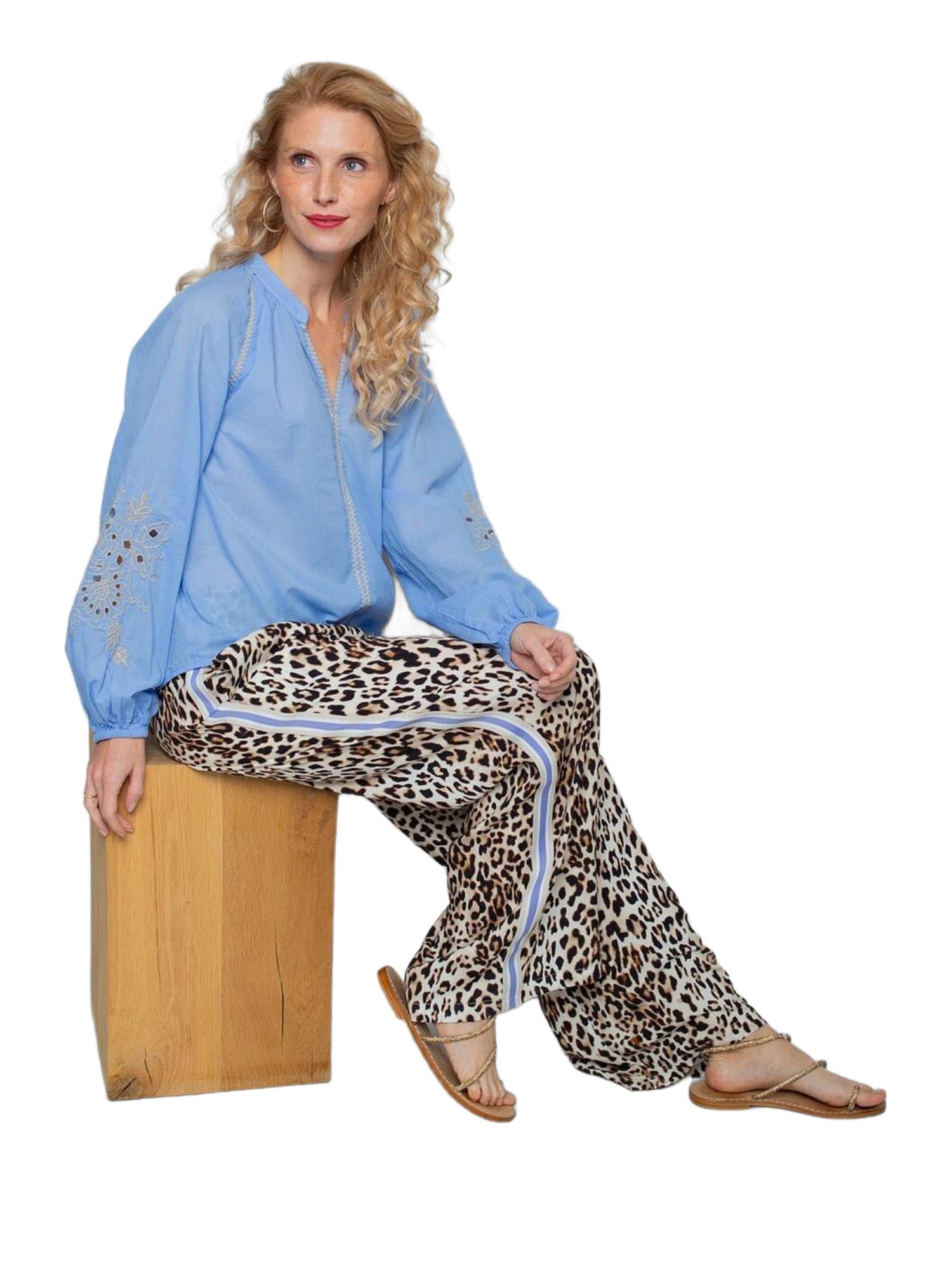 Emily Van Den Bergh Blusenshirt