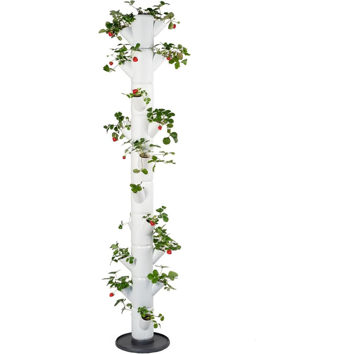 Gusta Garden Hochbeet SISSI STRAWBERRY infinity (inkl. Wasserauslaufschutz & Wasserleitsystem), Erdbeerbaum mit 10 Etagen, weiß