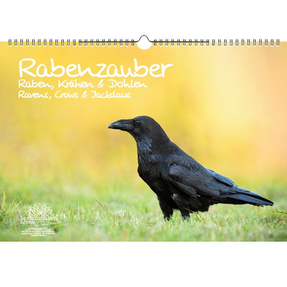 Seelenzauber ewige Kalender Rabenzauber Raben, Krähen und Dohlen Immerwährender Kalender DIN A3