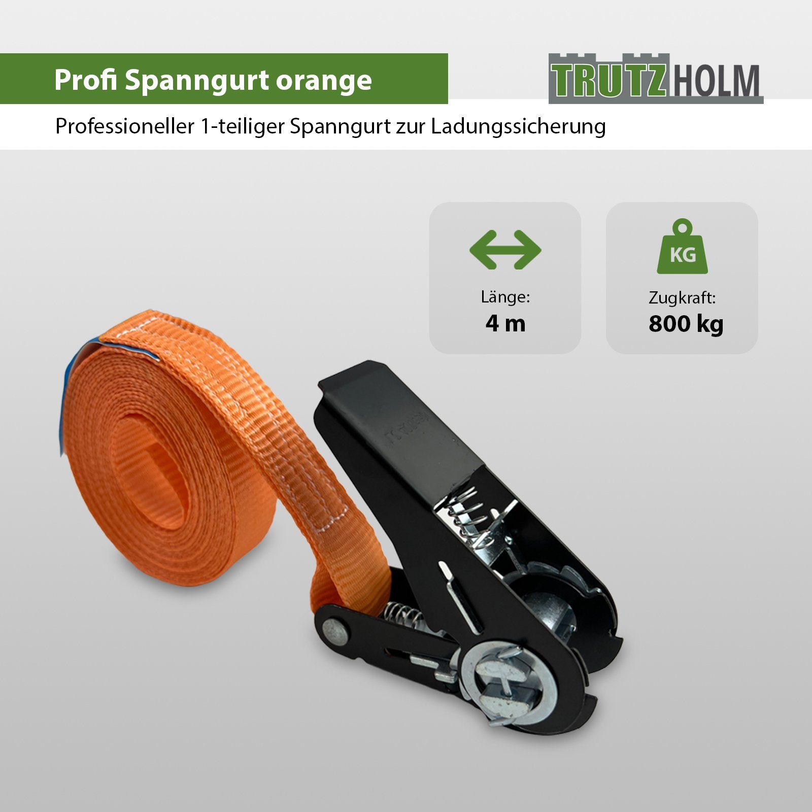 4m Spanngurt Orange Spanngurte Ratschen (Set) 0,8t Spanngurt 800kg 1-tlg TRUTZHOLM Schwarzes