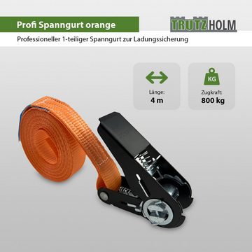 TRUTZHOLM Spanngurt Ratschen Spanngurt Spanngurte Orange 1-tlg 4m 0,8t 800kg Schwarzes (Set)