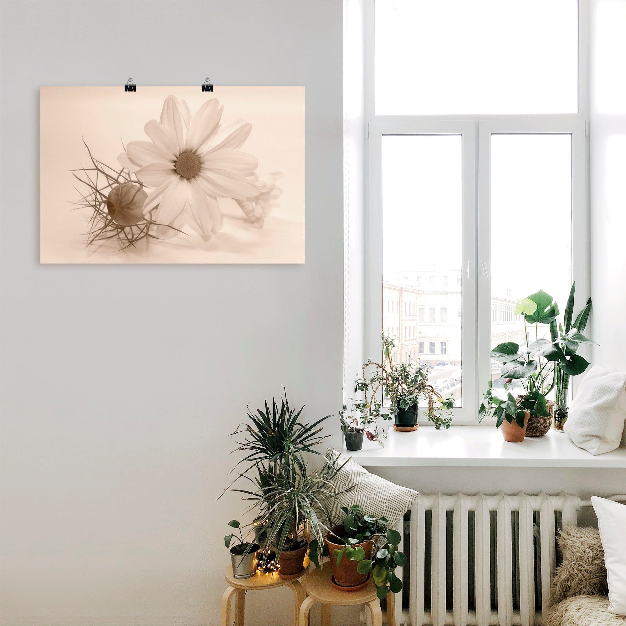 als Chrysantheme, Artland in Größen St), Wandbild Blumen Leinwandbild, versch. Wandaufkleber Alubild, (1 oder Poster