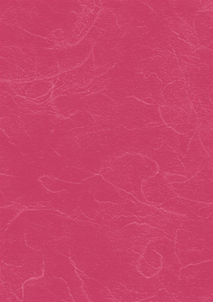 Heyda Seidenpapier Heyda 204718564 Strohseide 50 x 70 cm pink