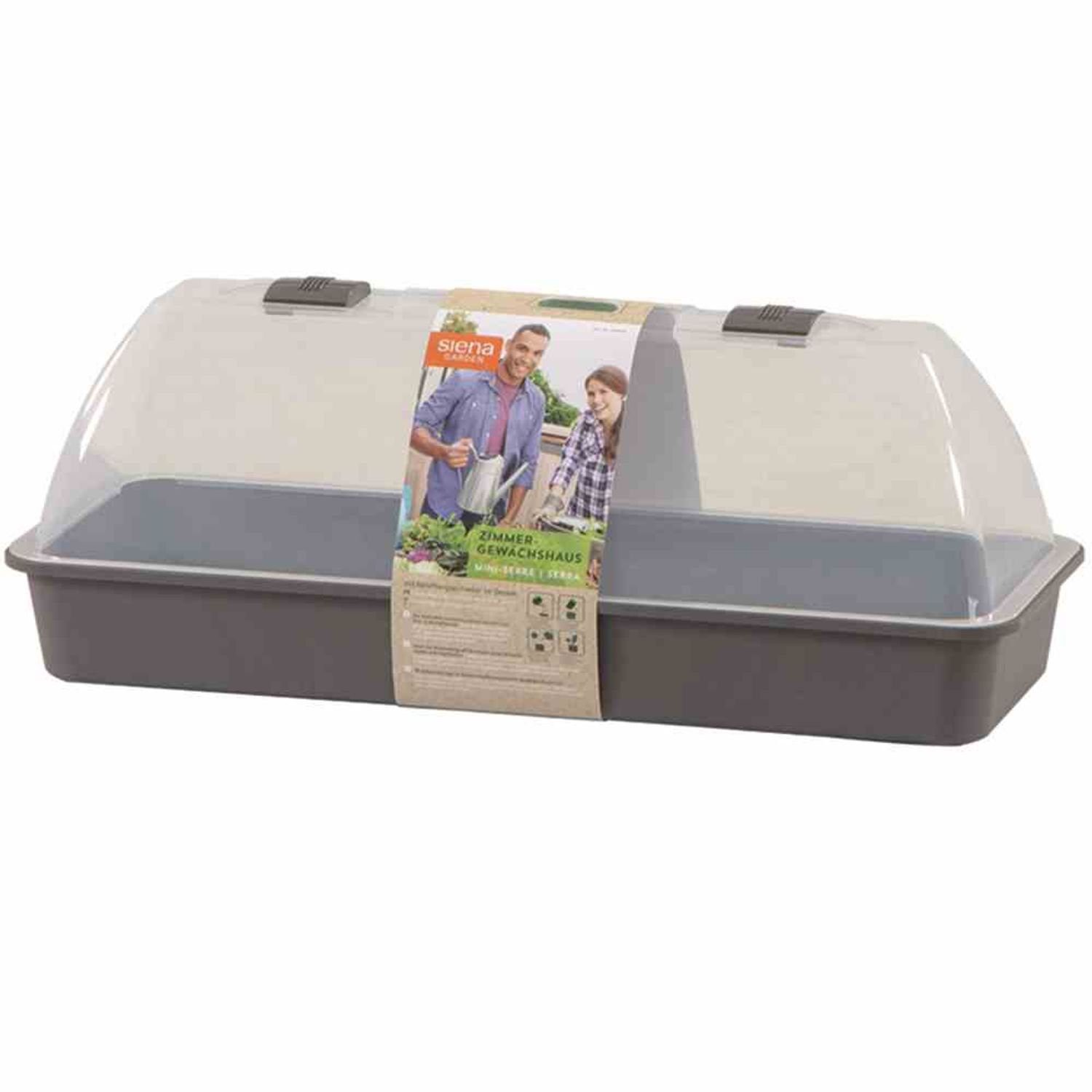 Siena Garden Gewächshaus Zimmergewächshaus Maxi-Grow 54x20x21,5 cm anthrazit
