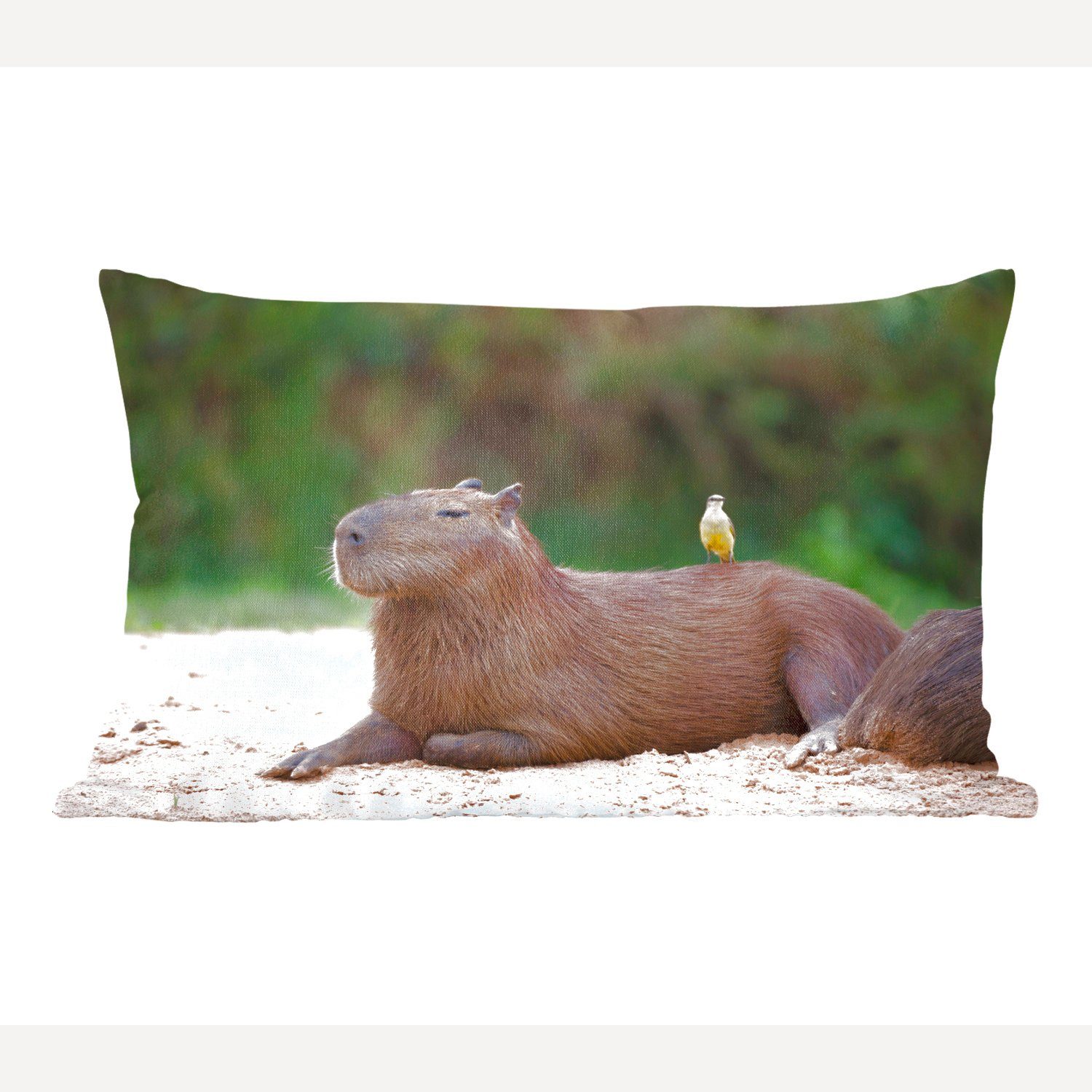 MuchoWow Dekokissen Ein Capybara mit einem kleinen Vogel darauf, Wohzimmer Dekoration, Zierkissen, Dekokissen mit Füllung, Schlafzimmer