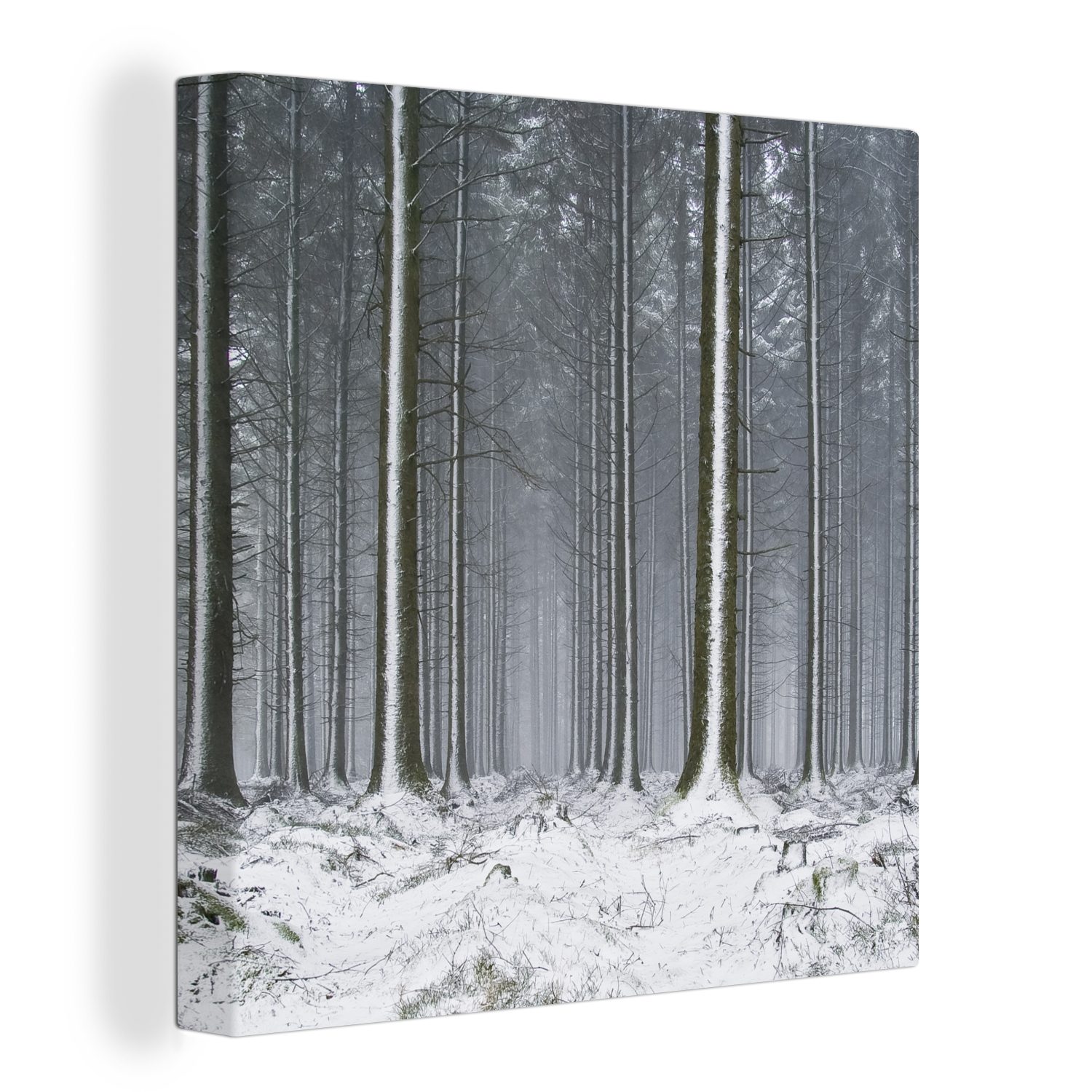 OneMillionCanvasses® Leinwandbild Bäume - Winter - Schnee, (1 St), Leinwand Bilder für Wohnzimmer Schlafzimmer bunt