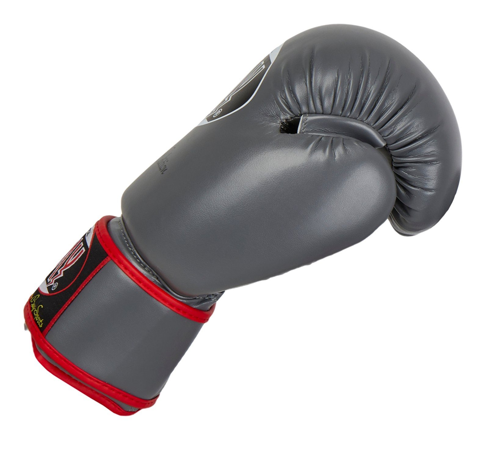 Kickboxen Future BAY-Sports Box-Handschuhe dunkelgrau Boxen Boxhandschuhe