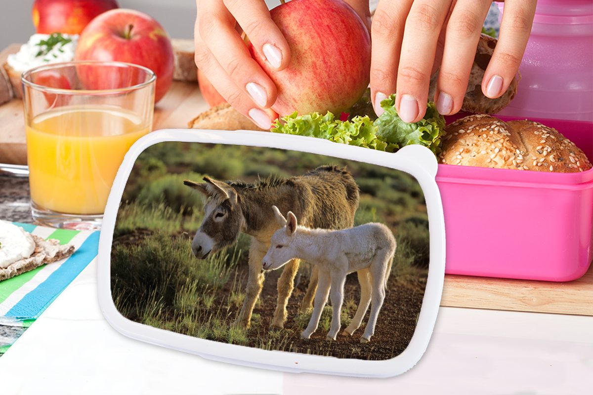MuchoWow Lunchbox Esel mit Fohlen, Kinder, Kunststoff (2-tlg), Brotbox für Kunststoff, Erwachsene, Mädchen, rosa Snackbox, Brotdose
