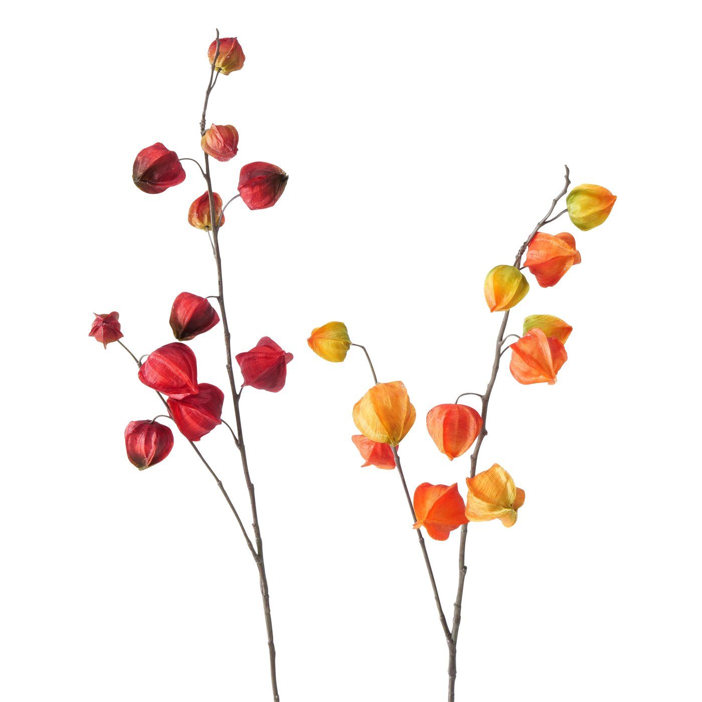 Kunstzweig Dekozweig Physalis, Gelb/Orange oder Rot, günstig online kaufen