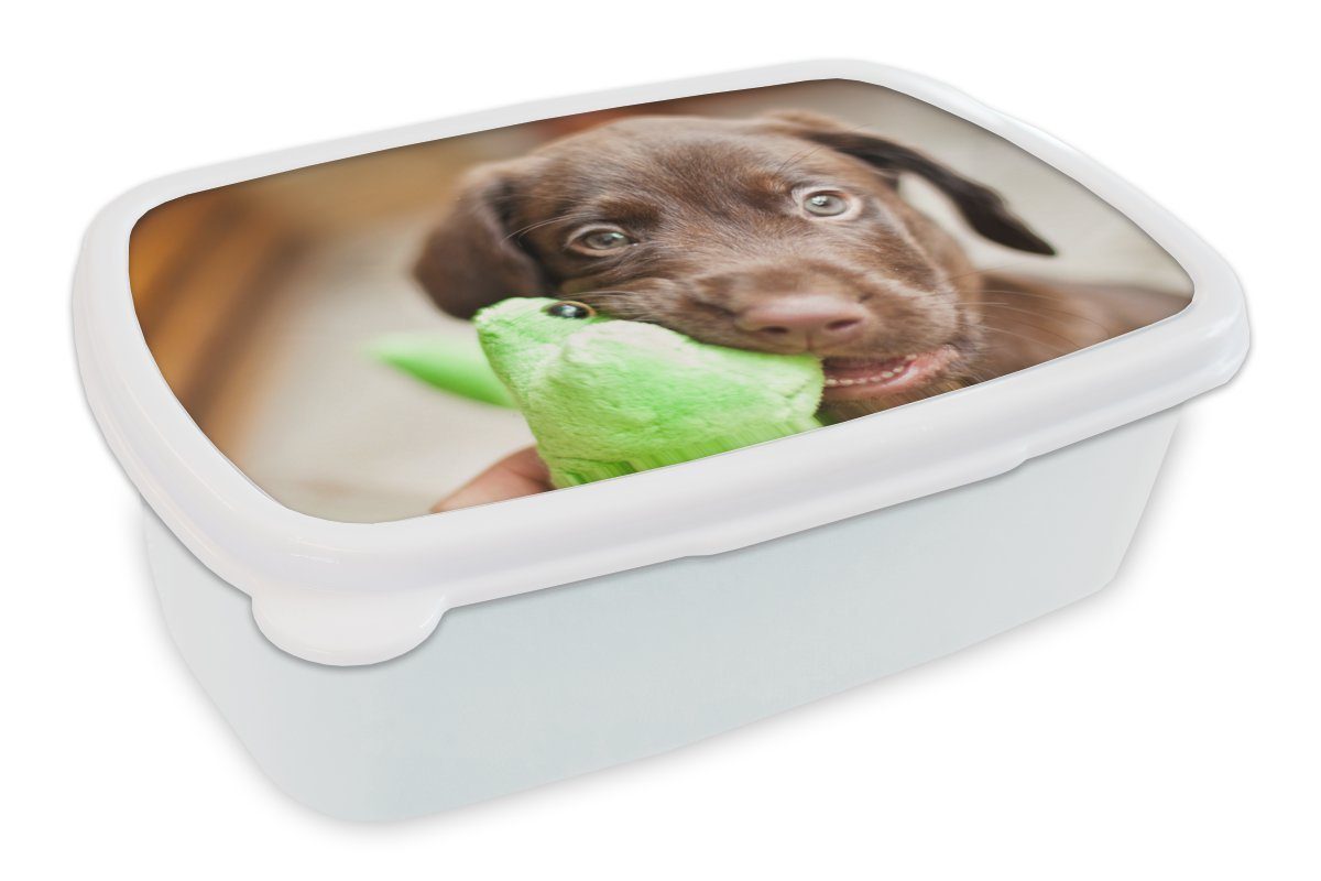 (2-tlg), und Blatt, frisst Jungs Labrador-Welpe für Kinder MuchoWow weiß Mädchen Kunststoff, und Brotdose, für Brotbox Lunchbox Erwachsene,