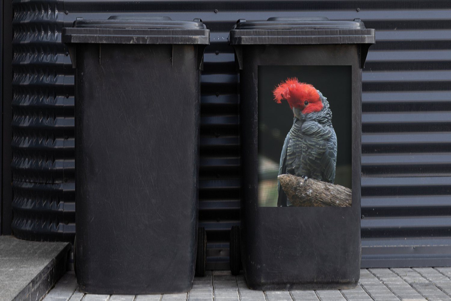 MuchoWow Wandsticker Ast Kakadu St), Farbiger (1 Container, Mülltonne, auf Abfalbehälter einem Sticker, Mülleimer-aufkleber