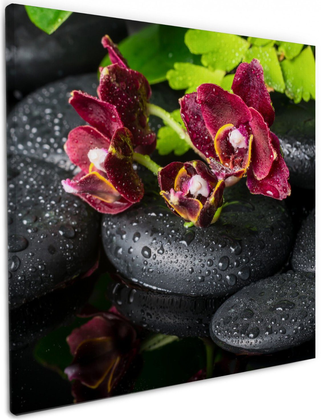 Wallario Leinwandbild, Dunkelrote Orchideen-Blüte auf schwarzen Steinen mit Regentropfen, in verschiedenen Ausführungen