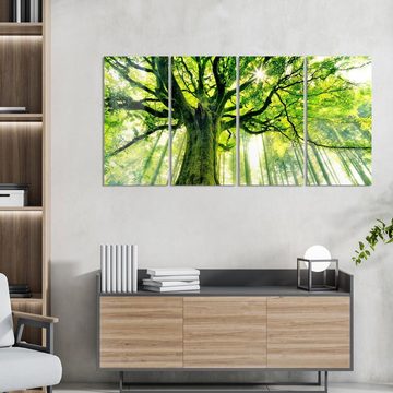 DEQORI Glasbild 'Eindrucksvoller Baum', 'Eindrucksvoller Baum', Glas Wandbild Bild schwebend modern