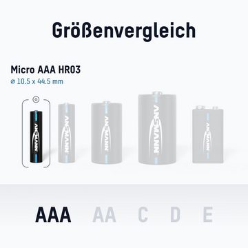 ANSMANN AG Telefon Akku Micro AAA, 950 mAh 1,2V, 2 Stück, leistungsstark Akku 1000 mAh (1.2 V)