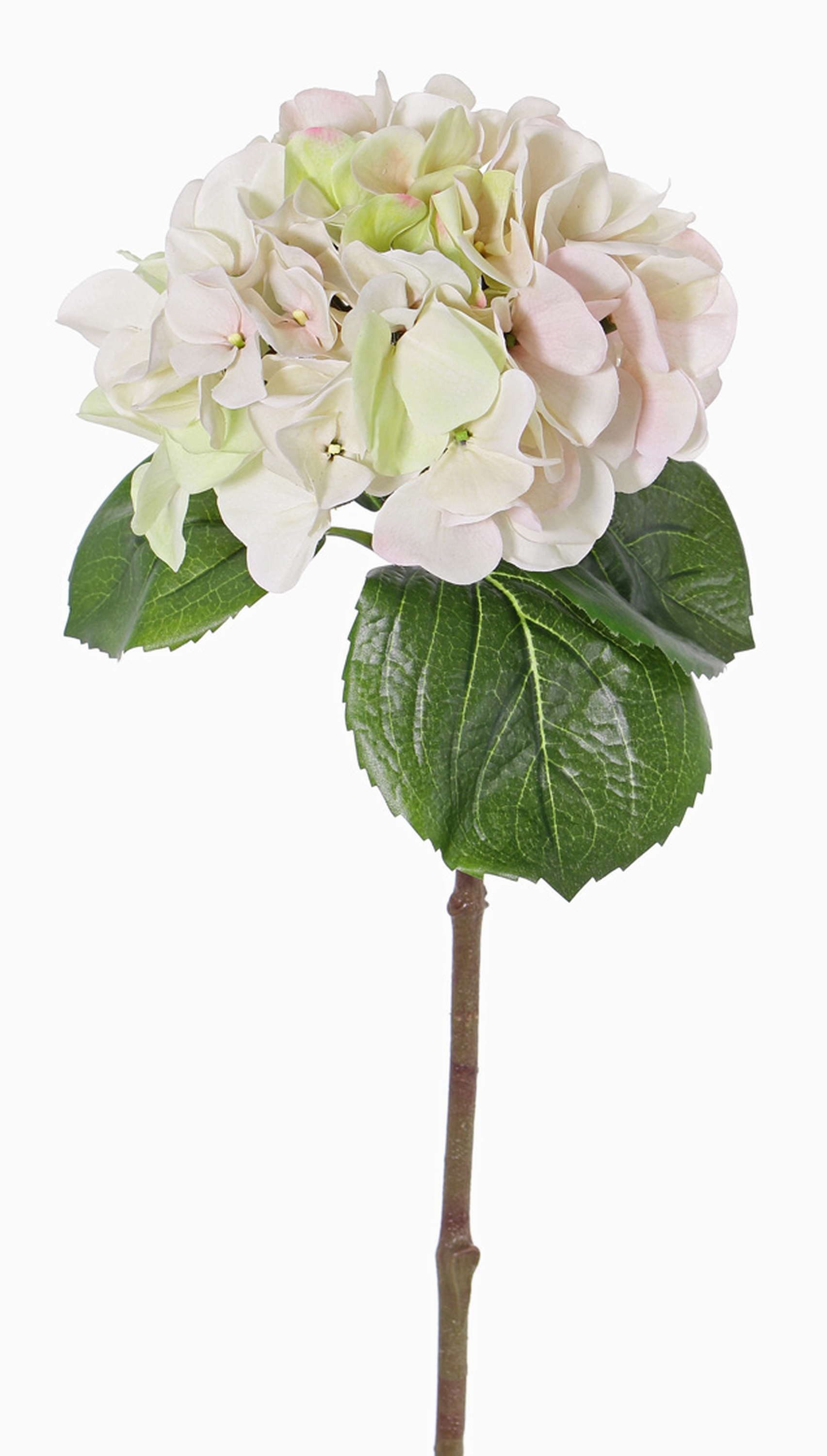 Kunstblume Künstliche Blume Hortensie CHIDORI, Creme Hortensie, artplants, Höhe 60.0 cm
