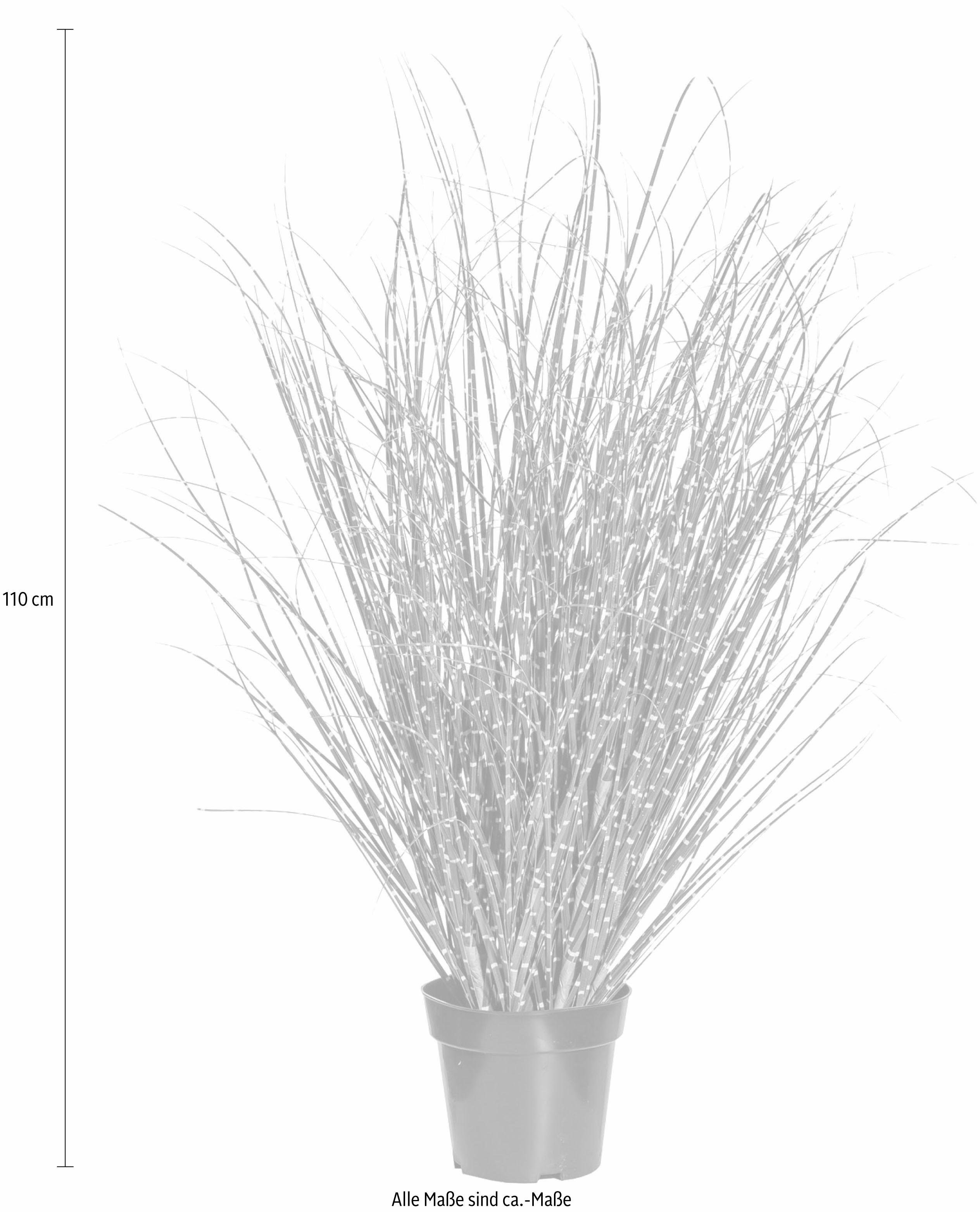 Kunstgras Miscanthus Zebrinus, Creativ green, Höhe 110 cm günstig online kaufen