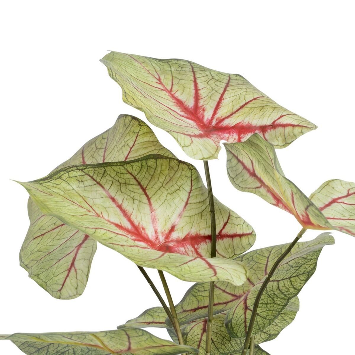 Bigbuy, x Zimmerpflanze 35 grün cm Höhe 40 PVC 58 cm, Künstliche Dekorationspflanze x Rot 55