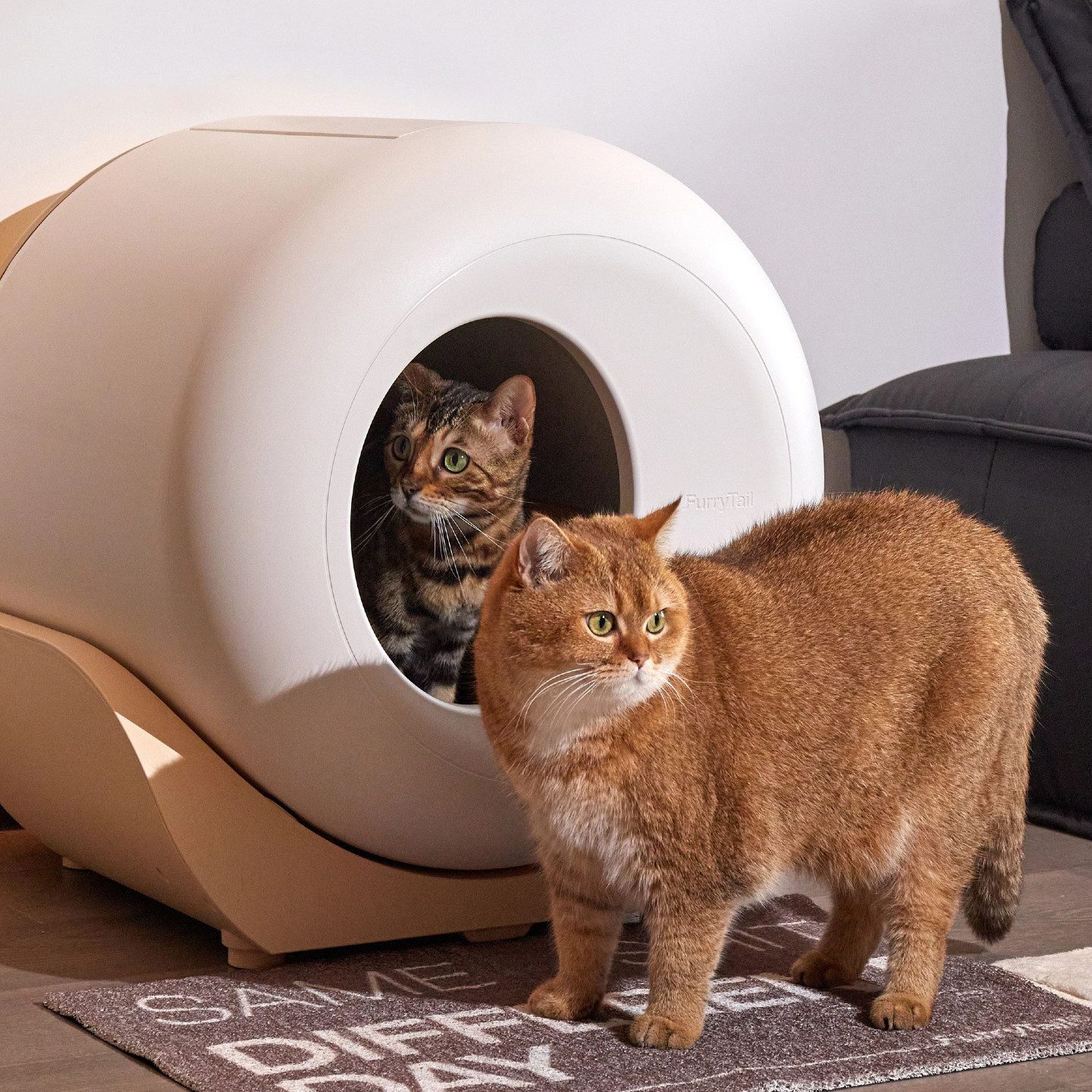 OKWISH Katzentoilette Automatische Selbstreinigende Katzentoilette, mit Sensor, App-Steuerung, Nachtlicht, abnehmbarer Trommel