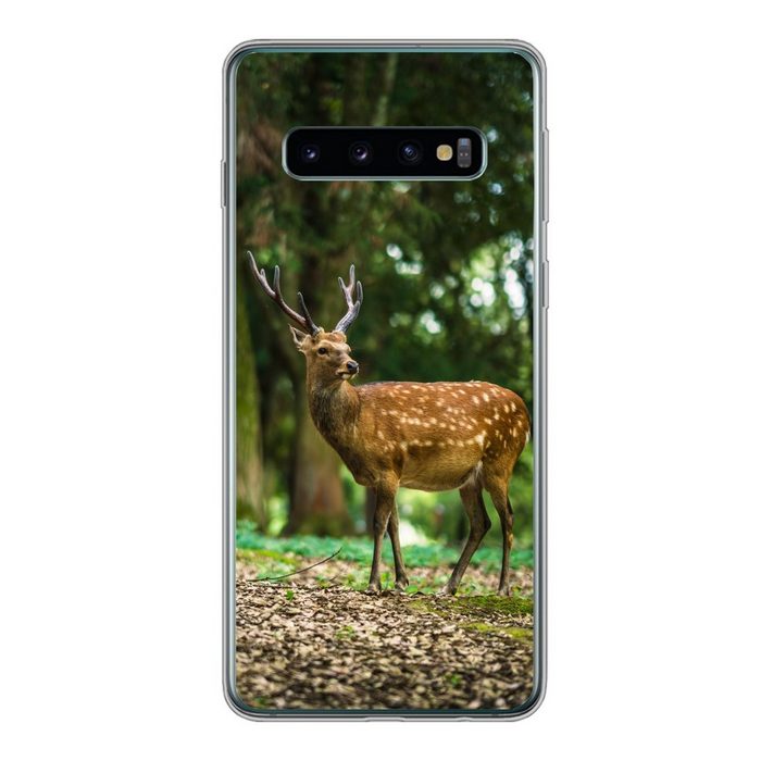 MuchoWow Handyhülle Rotwild - Wald - Tier Phone Case Handyhülle Samsung Galaxy S10 Silikon Schutzhülle