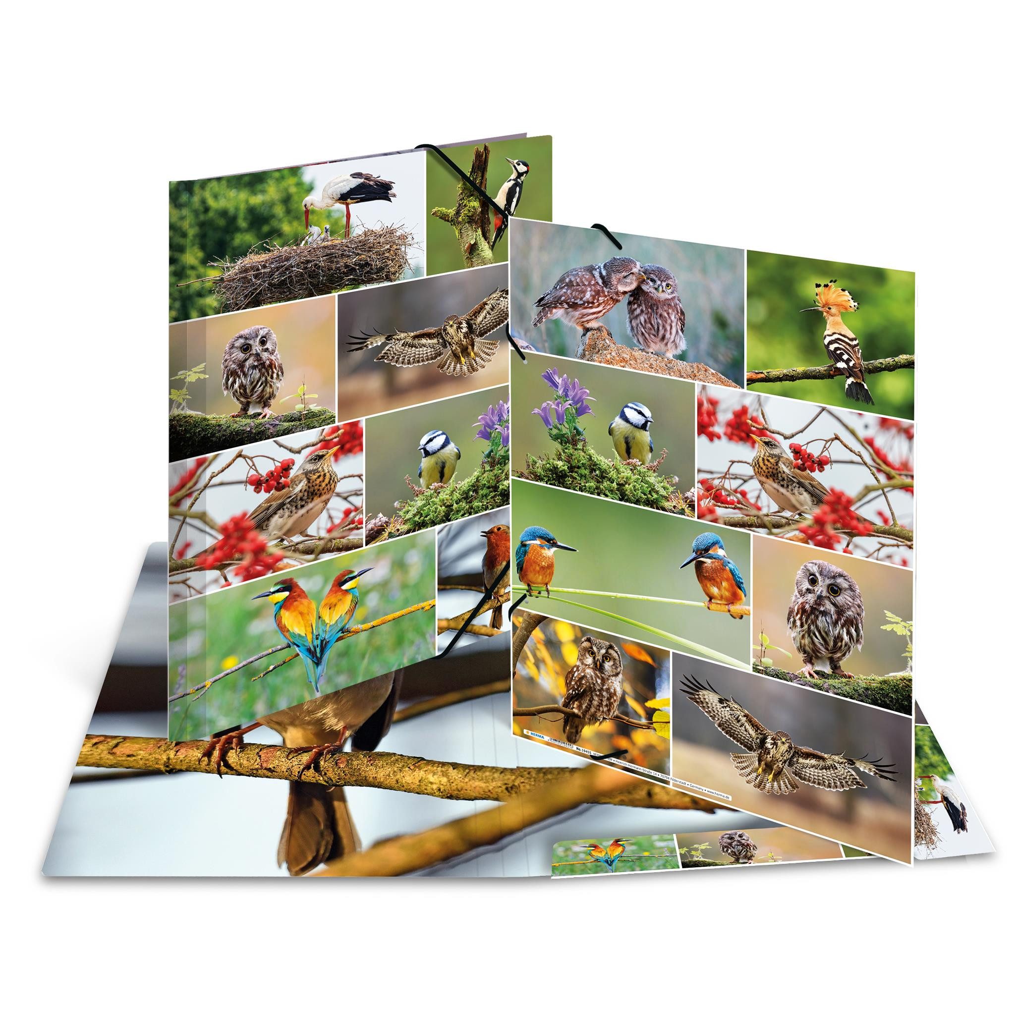 HERMA Organisationsmappe Herma Sammelmappe Eckspanner Karton A3 Heimatvögel
