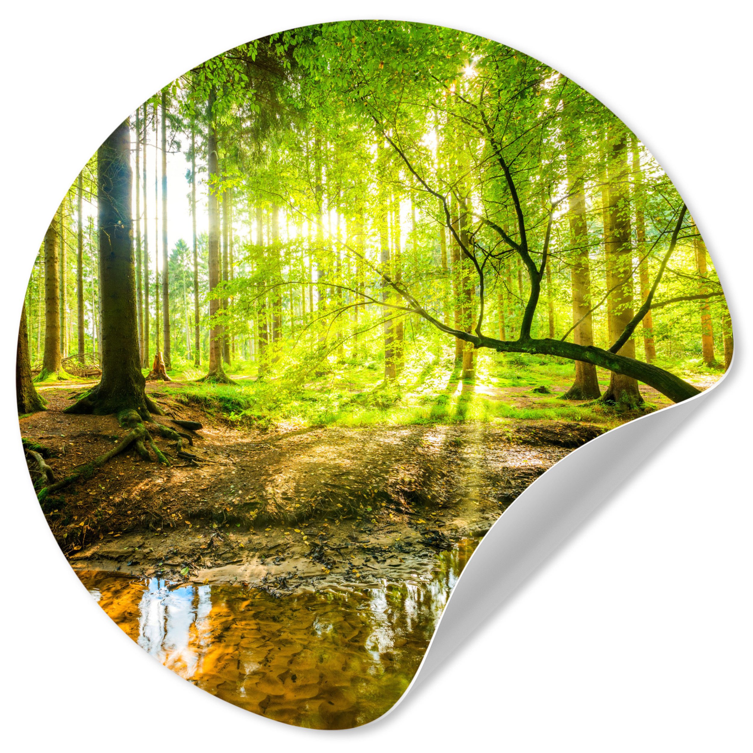 MuchoWow Wandsticker Wald - Landschaft - Wasser - Bäume - Sonne - Grün - Natur (1 St), Wandtattoo Selbstklebend, Wohnzimmer Deko Aufkleber, 30x30 cm