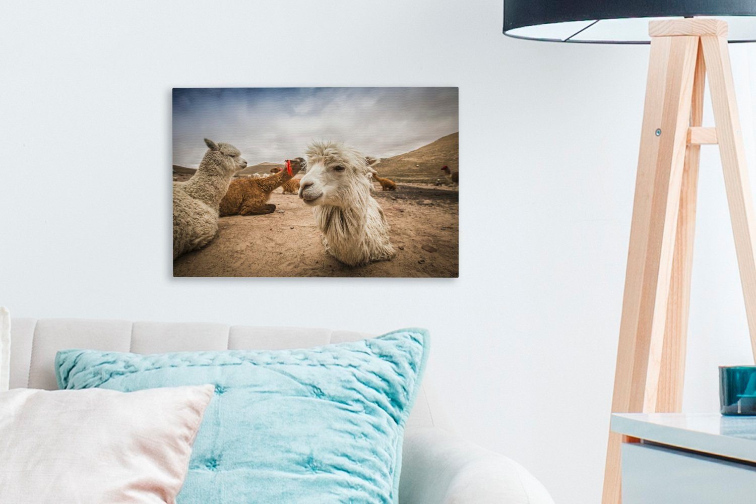 OneMillionCanvasses® Leinwandbild Lamas ruhen sich in von Aufhängefertig, cm 30x20 der Leinwandbilder, Wanddeko, (1 Arequipa Wandbild Landschaft St), aus