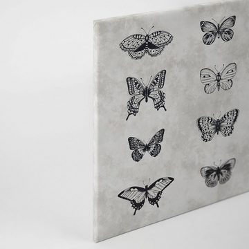A.S. Création Leinwandbild sketchpad 3, (1 St), Schwarz-Weiß Zeichnung Schmetterling Keilrahmen Bild