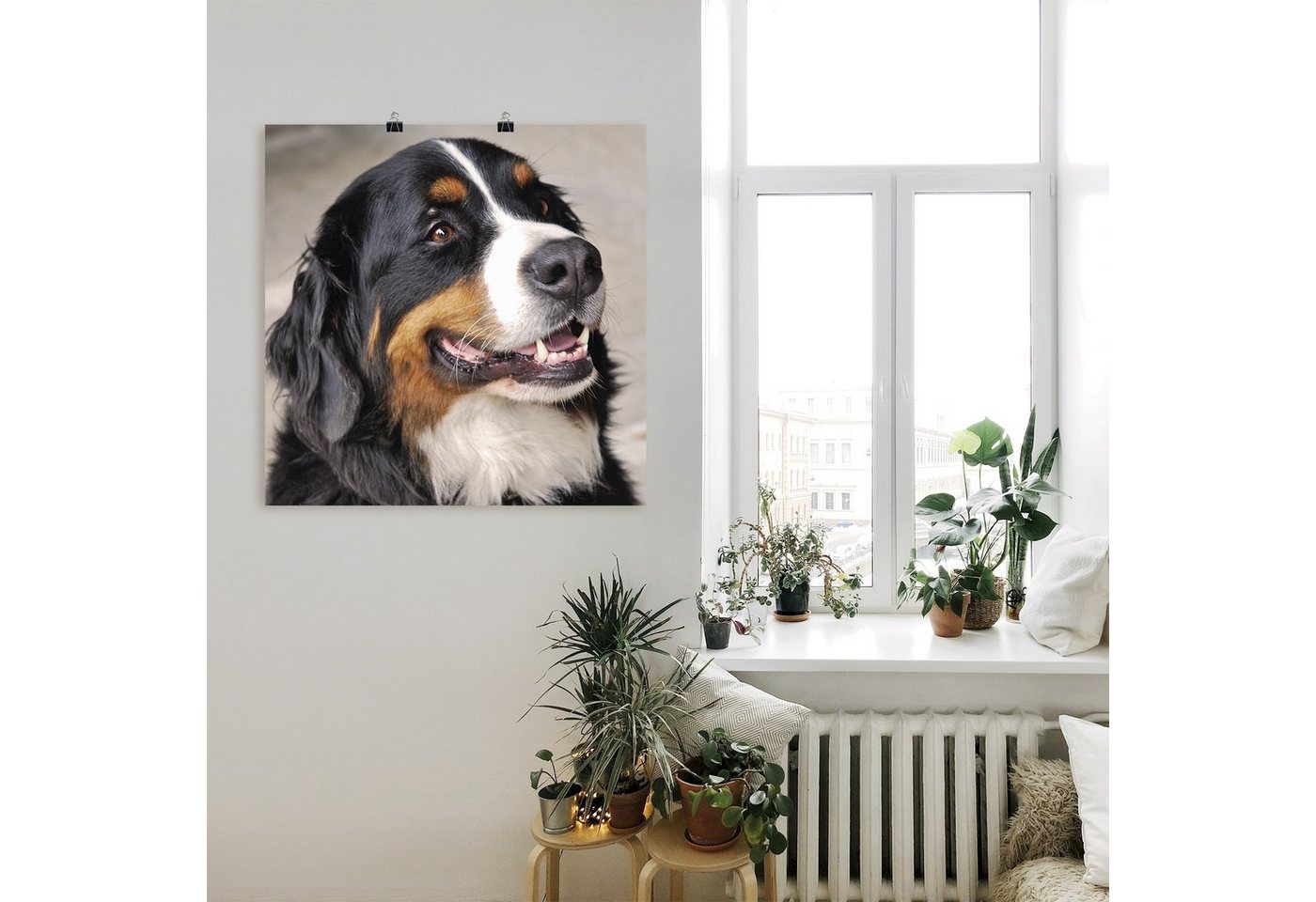 Artland Wandbild »Berner Sennenhund«, Haustiere (1 Stück), in vielen Größen & Produktarten -Leinwandbild, Poster, Wandaufkleber / Wandtattoo auch für Badezimmer geeignet-kaufen
