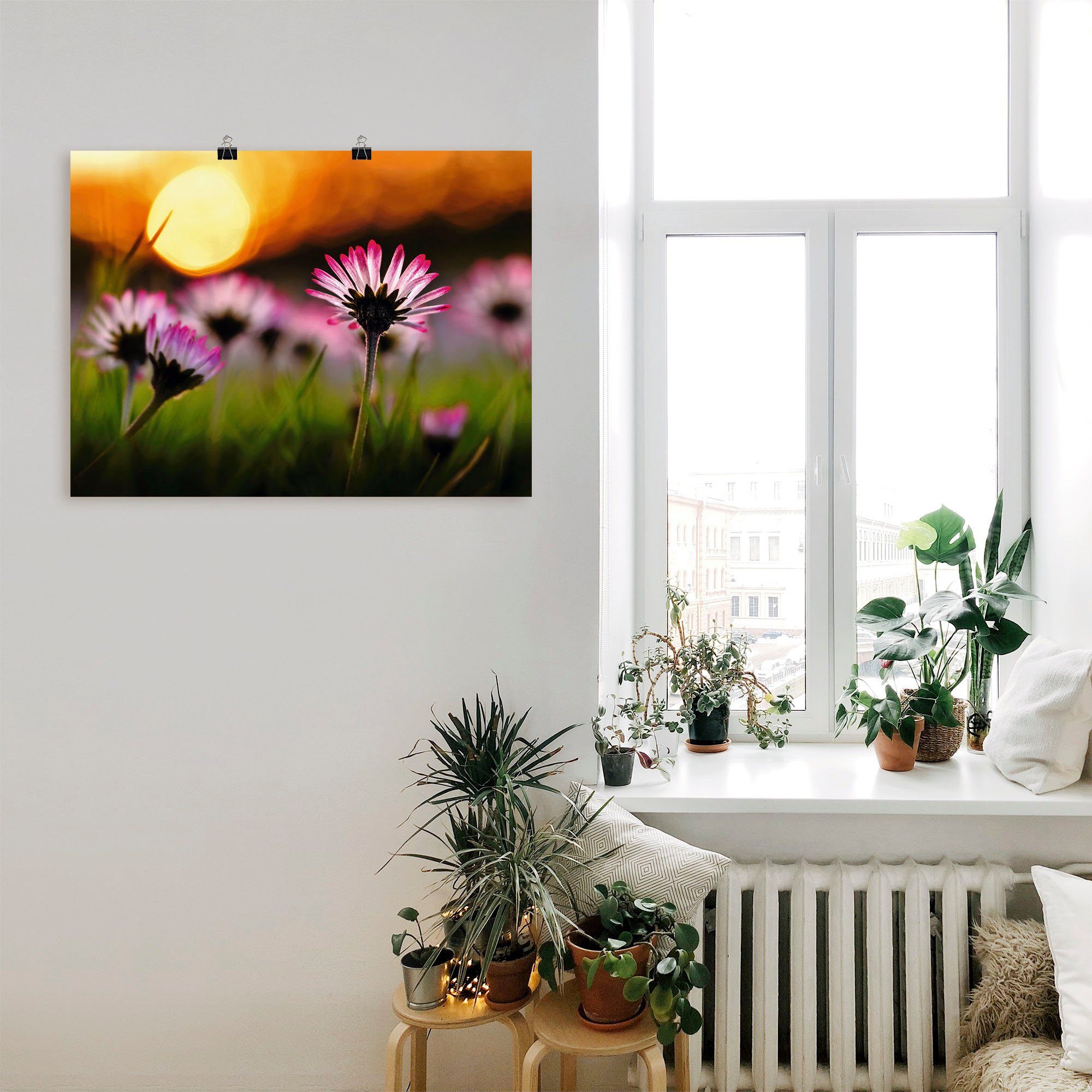Artland Wandbild Gänseblümchen im in Leinwandbild, Alubild, Sonnenuntergang, Größen versch. als Blumenwiese (1 St), Wandaufkleber Poster oder