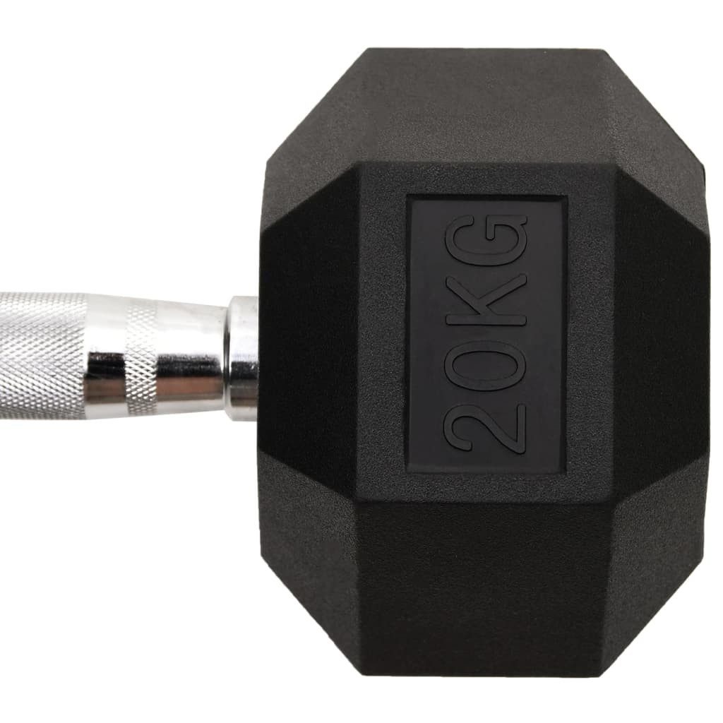 vidaXL Kurzhantel, 20 kg Gusseisen