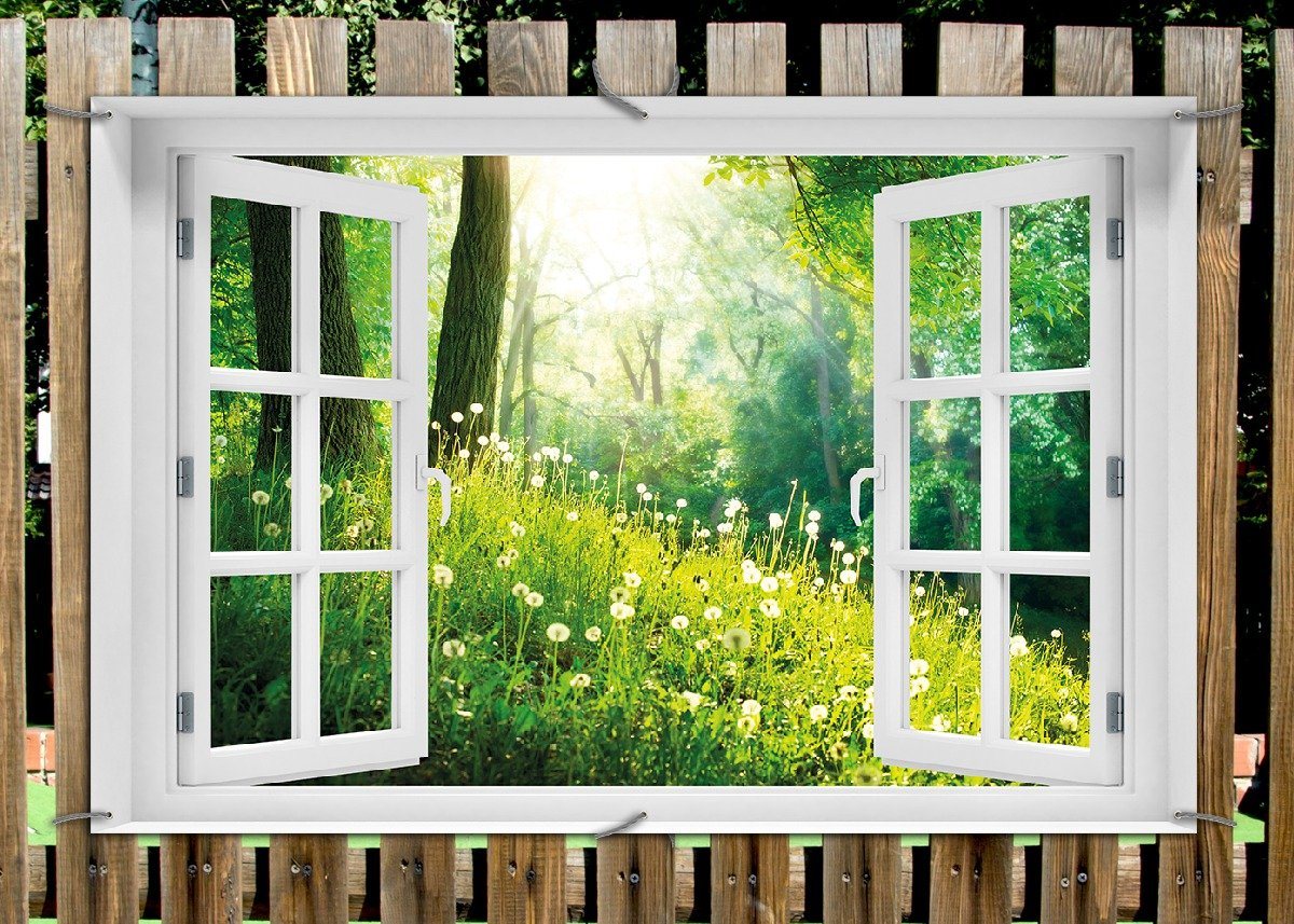 Thumbnail - Wallario Sichtschutzzaunmatten Pusteblumen im Wald mit einfallenden Sonnenstrahlen, mit Fenster-Illusion