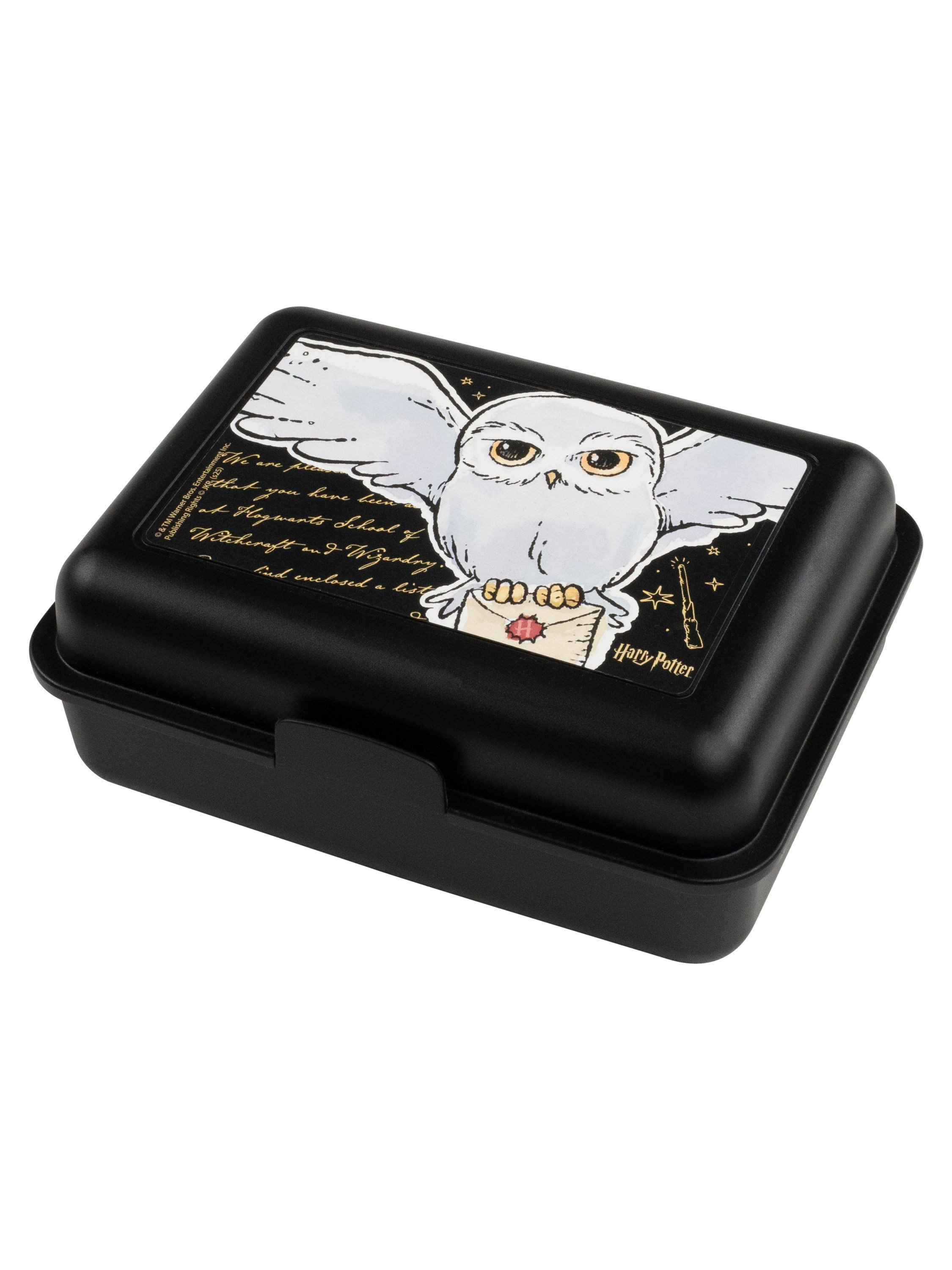 United Labels® Lunchbox Harry Potter Brotdose Hedwig Eule Lunchbox Butterbrotdose Trennwand, Kunststoff (PP)